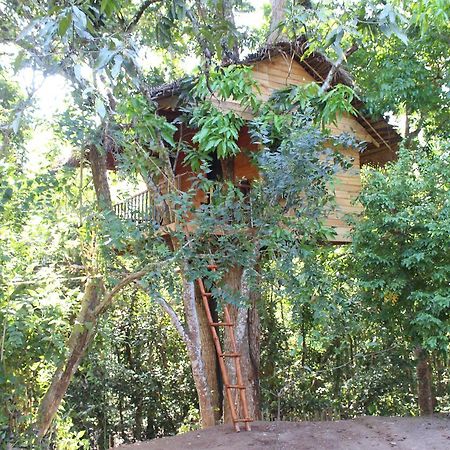 ウェリガマ Tree House-Midigamaヴィラ エクステリア 写真