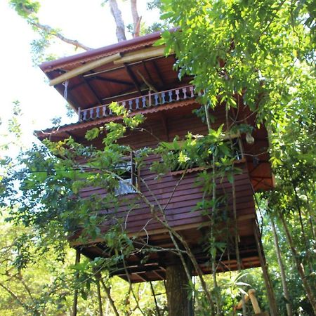 ウェリガマ Tree House-Midigamaヴィラ エクステリア 写真