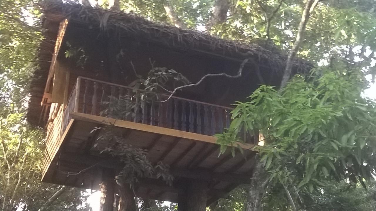 ウェリガマ Tree House-Midigamaヴィラ エクステリア 写真