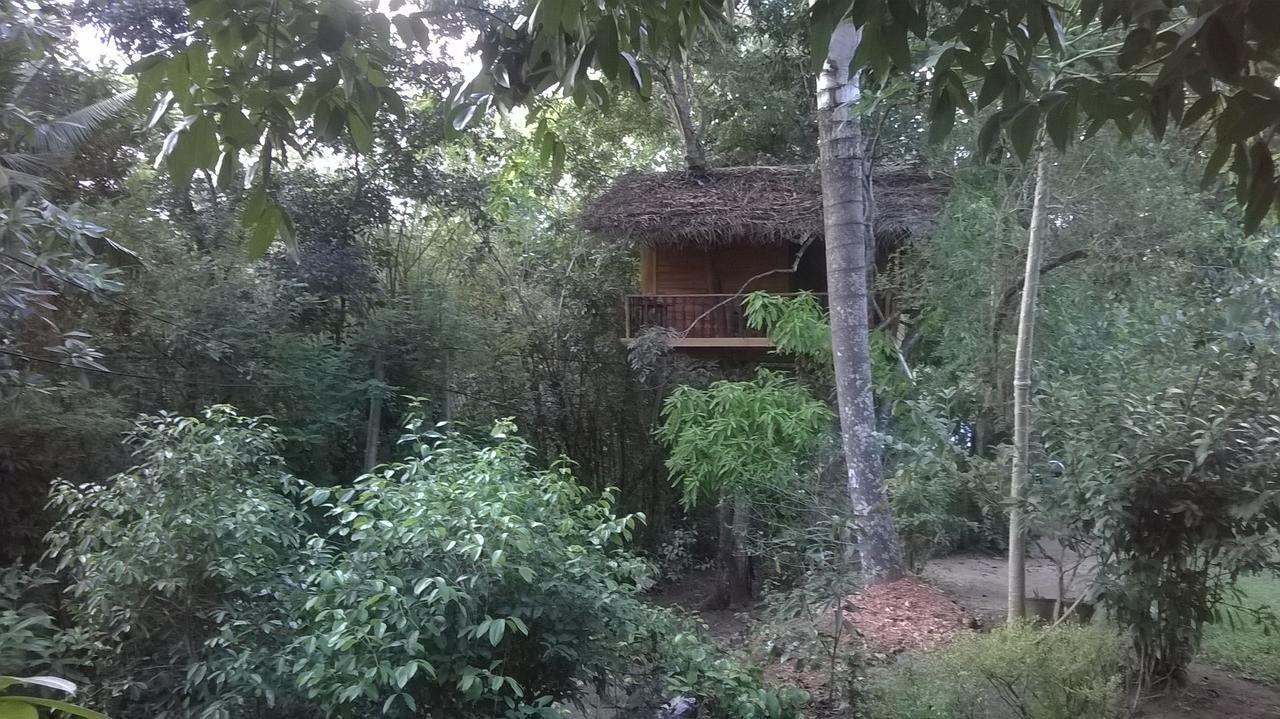 ウェリガマ Tree House-Midigamaヴィラ エクステリア 写真