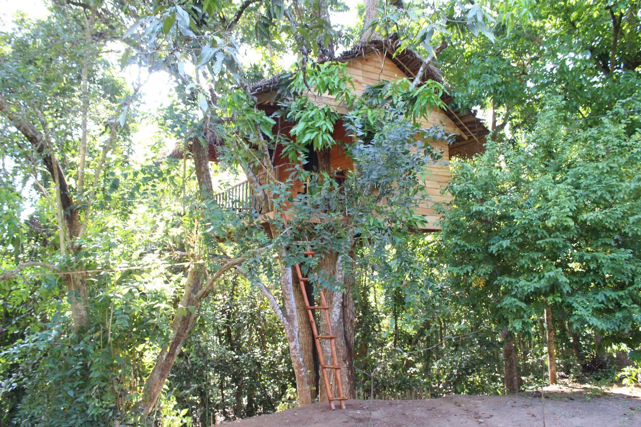 ウェリガマ Tree House-Midigamaヴィラ エクステリア 写真