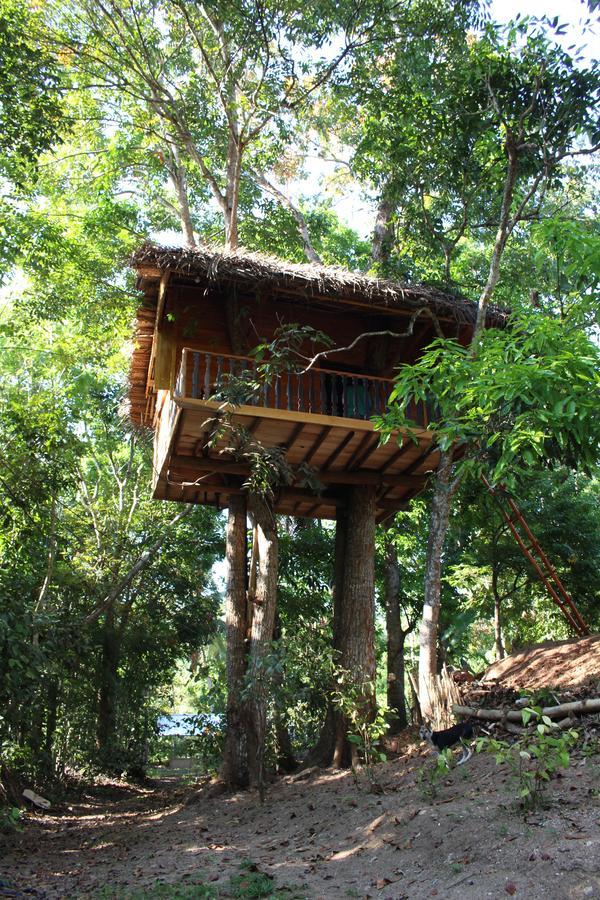 ウェリガマ Tree House-Midigamaヴィラ エクステリア 写真