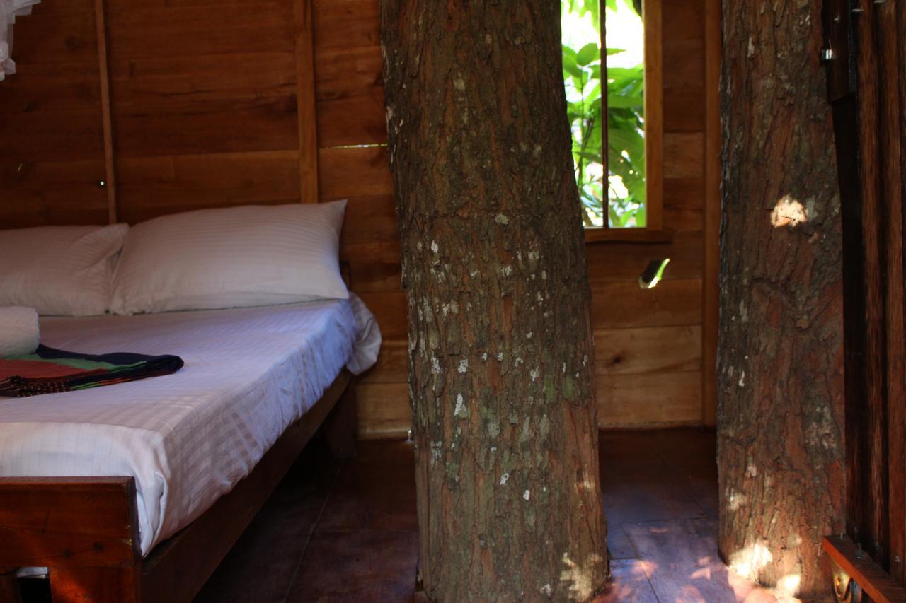 ウェリガマ Tree House-Midigamaヴィラ エクステリア 写真