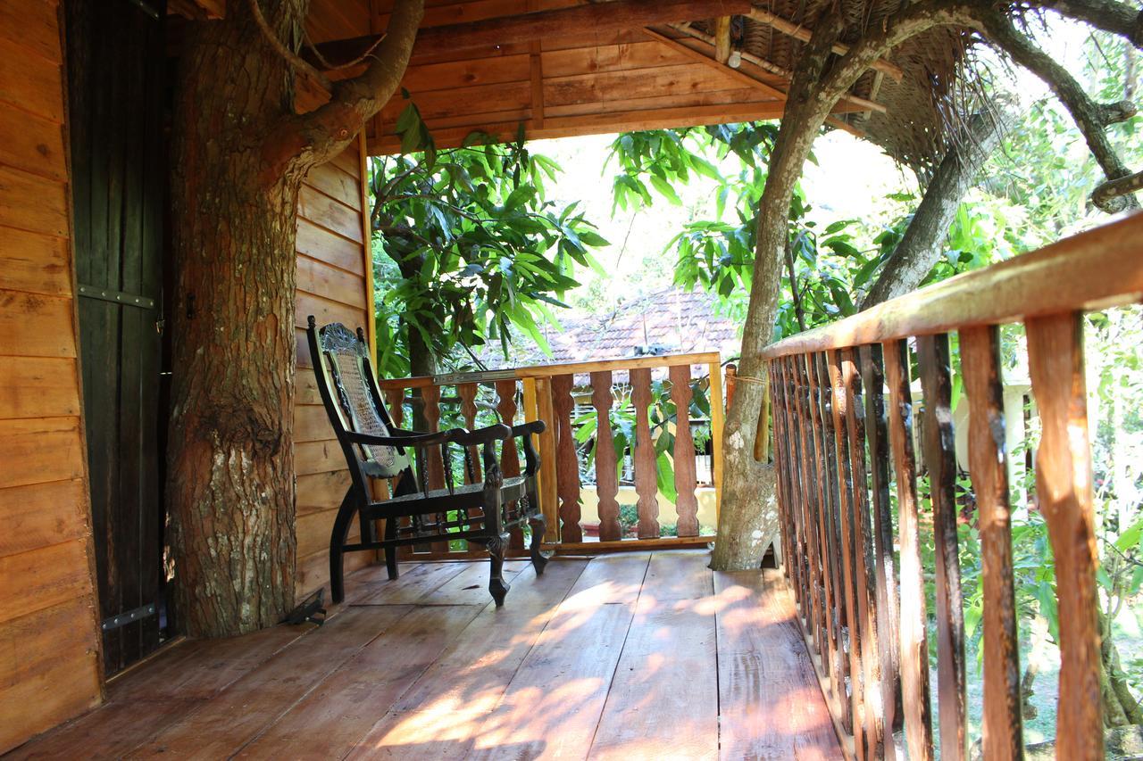 ウェリガマ Tree House-Midigamaヴィラ エクステリア 写真