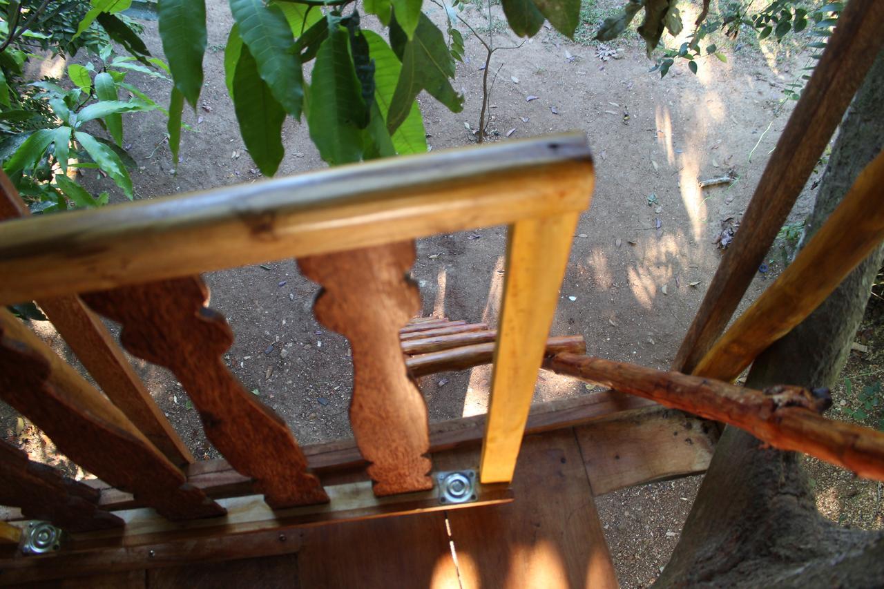 ウェリガマ Tree House-Midigamaヴィラ エクステリア 写真