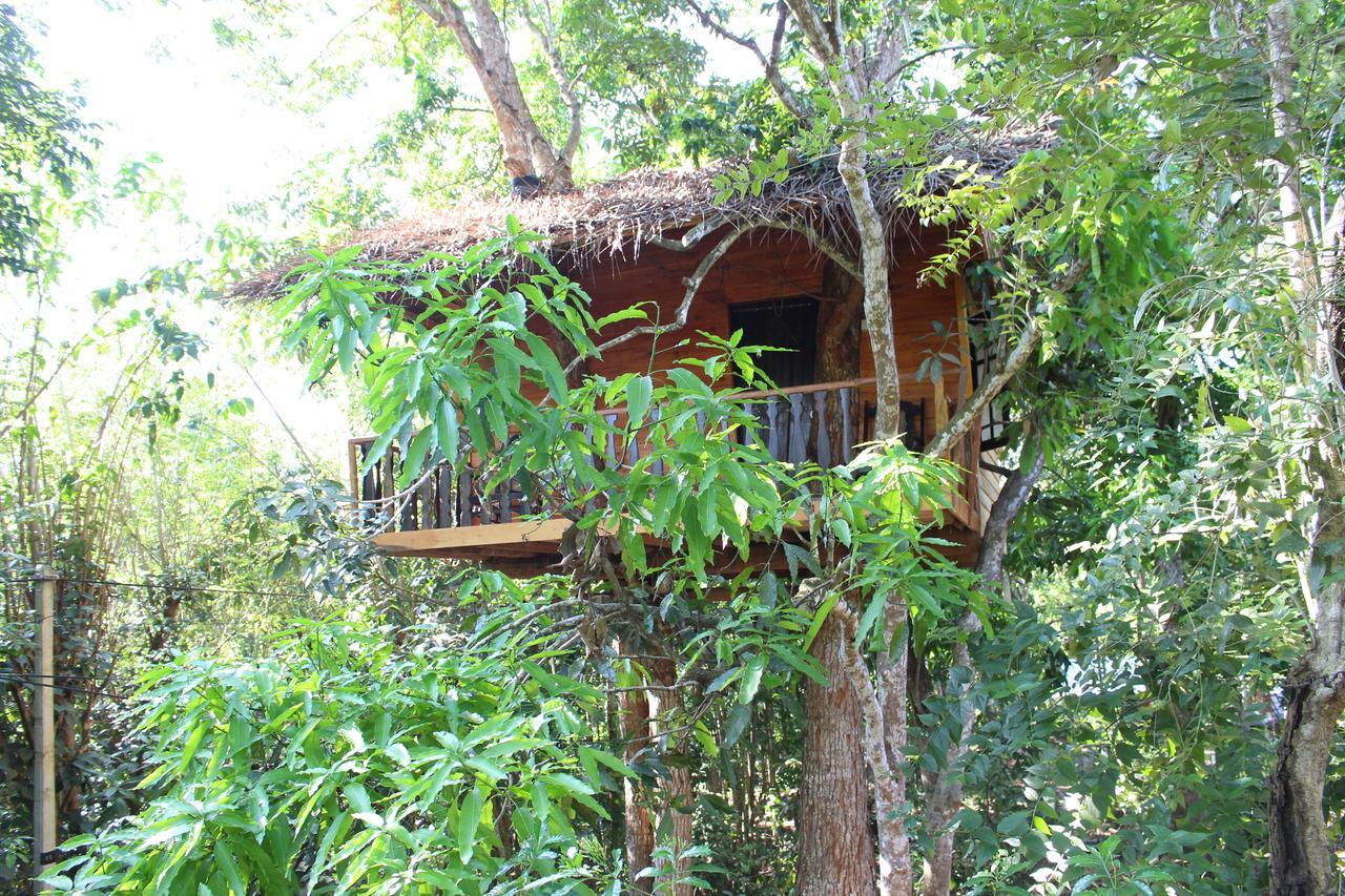 ウェリガマ Tree House-Midigamaヴィラ エクステリア 写真