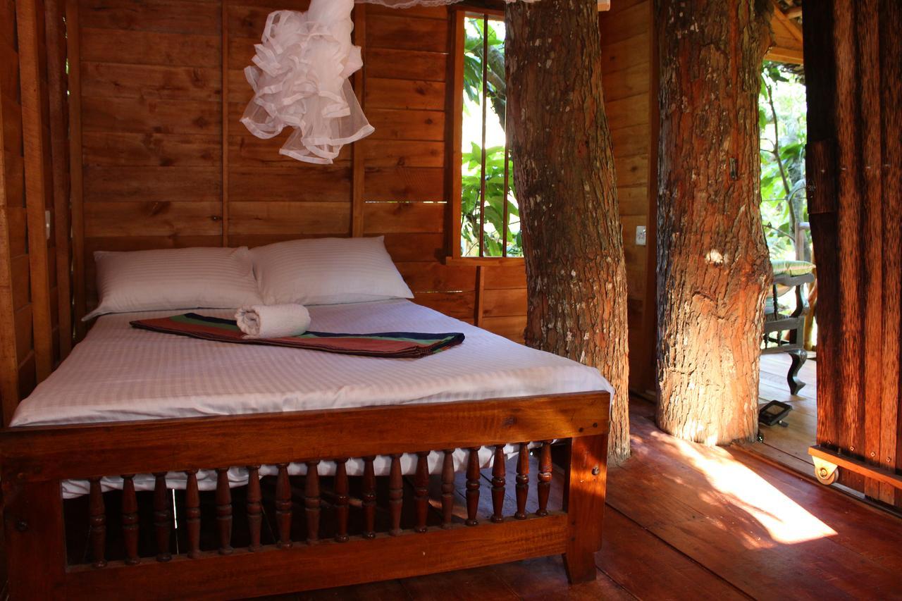 ウェリガマ Tree House-Midigamaヴィラ エクステリア 写真