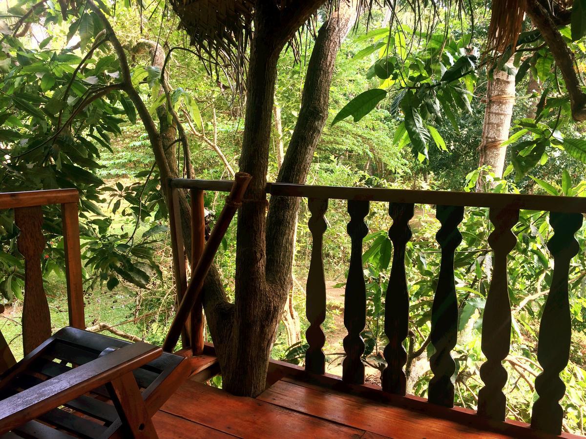 ウェリガマ Tree House-Midigamaヴィラ エクステリア 写真