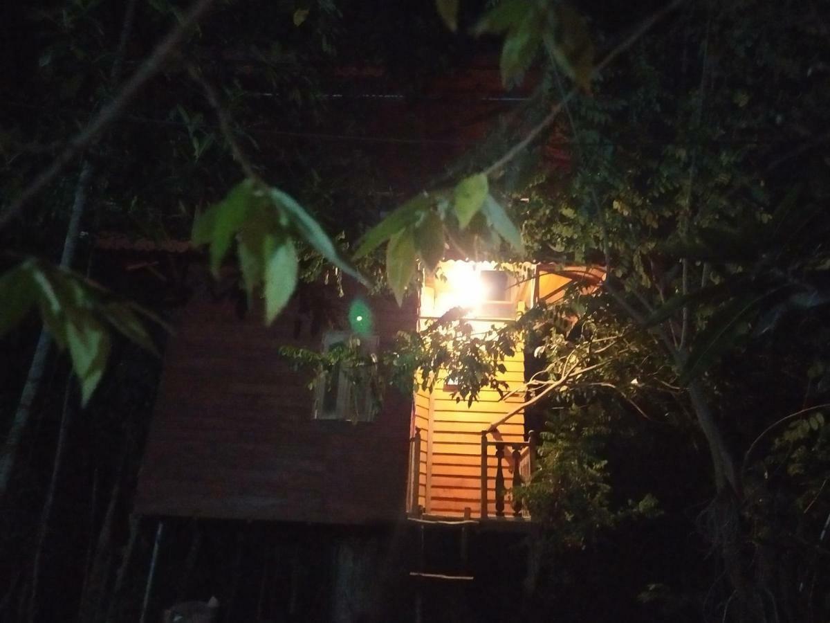 ウェリガマ Tree House-Midigamaヴィラ エクステリア 写真
