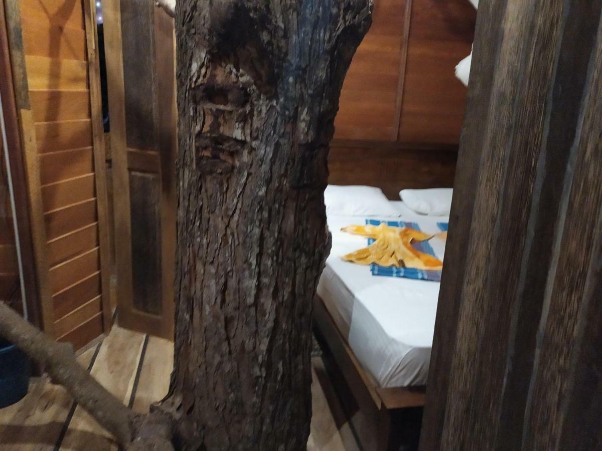ウェリガマ Tree House-Midigamaヴィラ エクステリア 写真