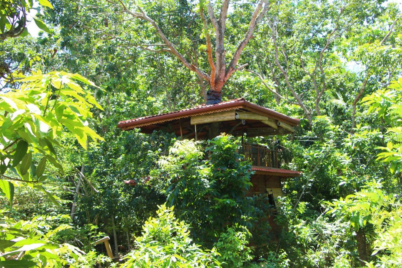 ウェリガマ Tree House-Midigamaヴィラ エクステリア 写真