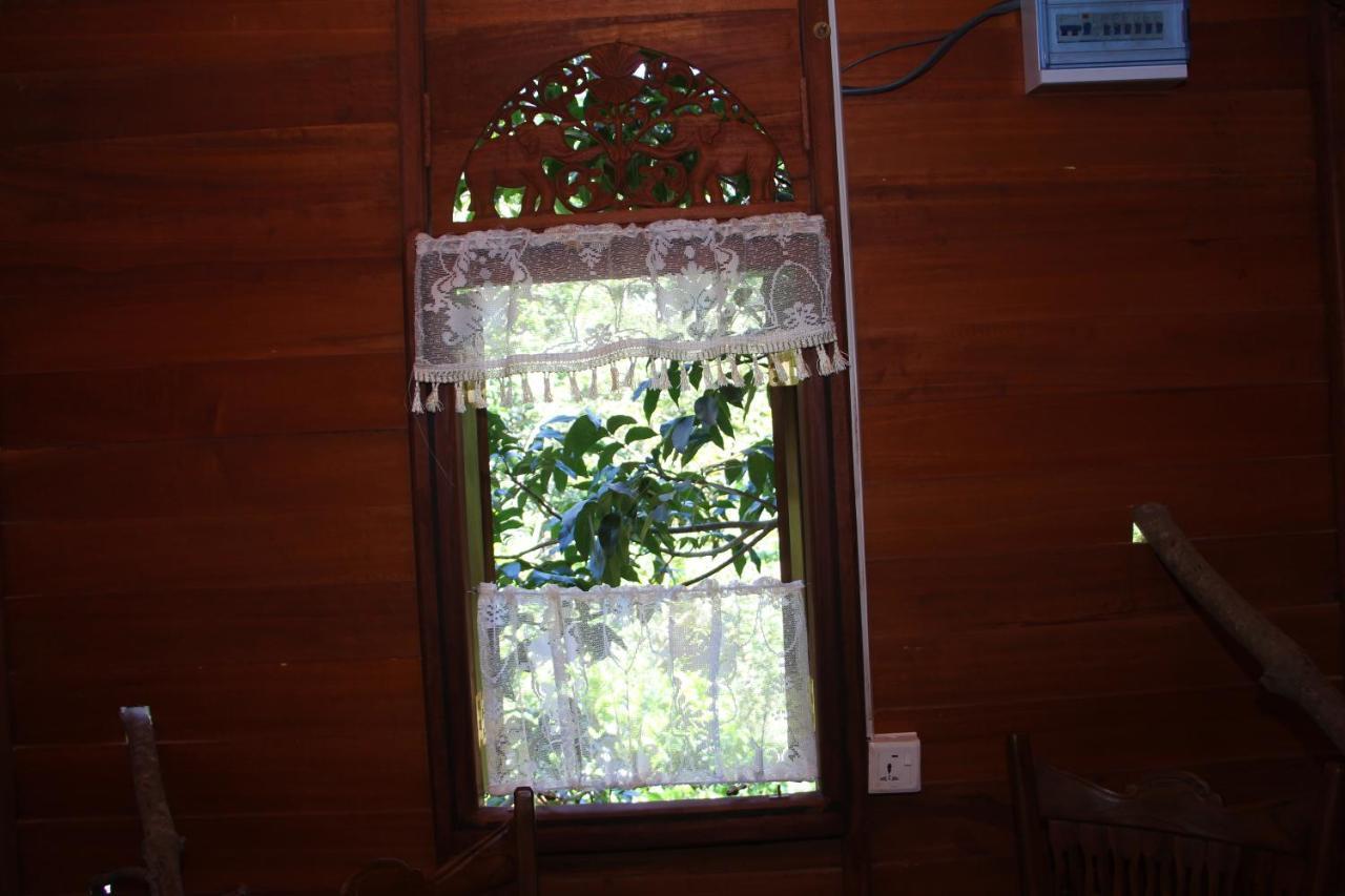 ウェリガマ Tree House-Midigamaヴィラ エクステリア 写真