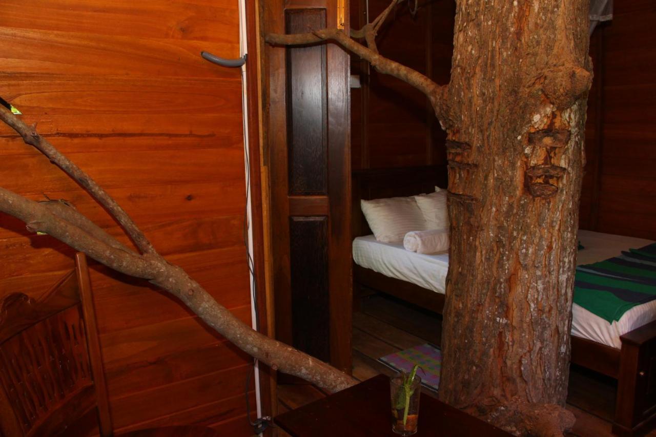 ウェリガマ Tree House-Midigamaヴィラ エクステリア 写真