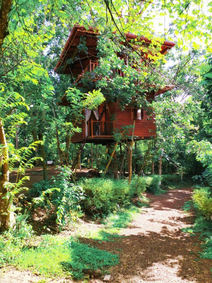 ウェリガマ Tree House-Midigamaヴィラ エクステリア 写真