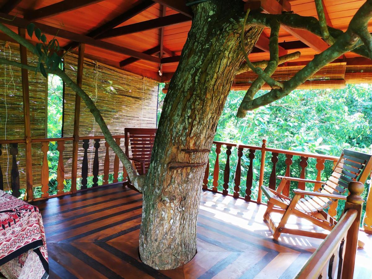 ウェリガマ Tree House-Midigamaヴィラ エクステリア 写真